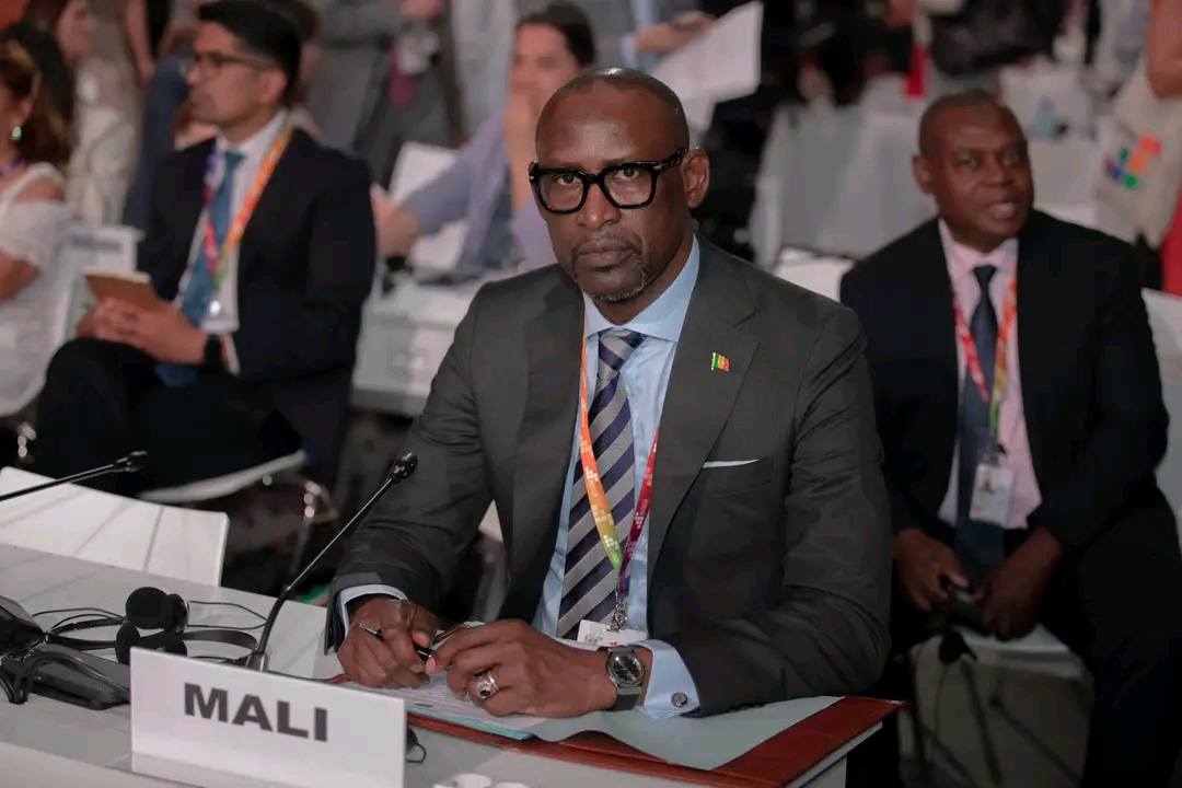 Digitalisation des services diplomatiques et consulaires du Mali : Près de 4000 Visas délivrés de mars à aujourd’hui